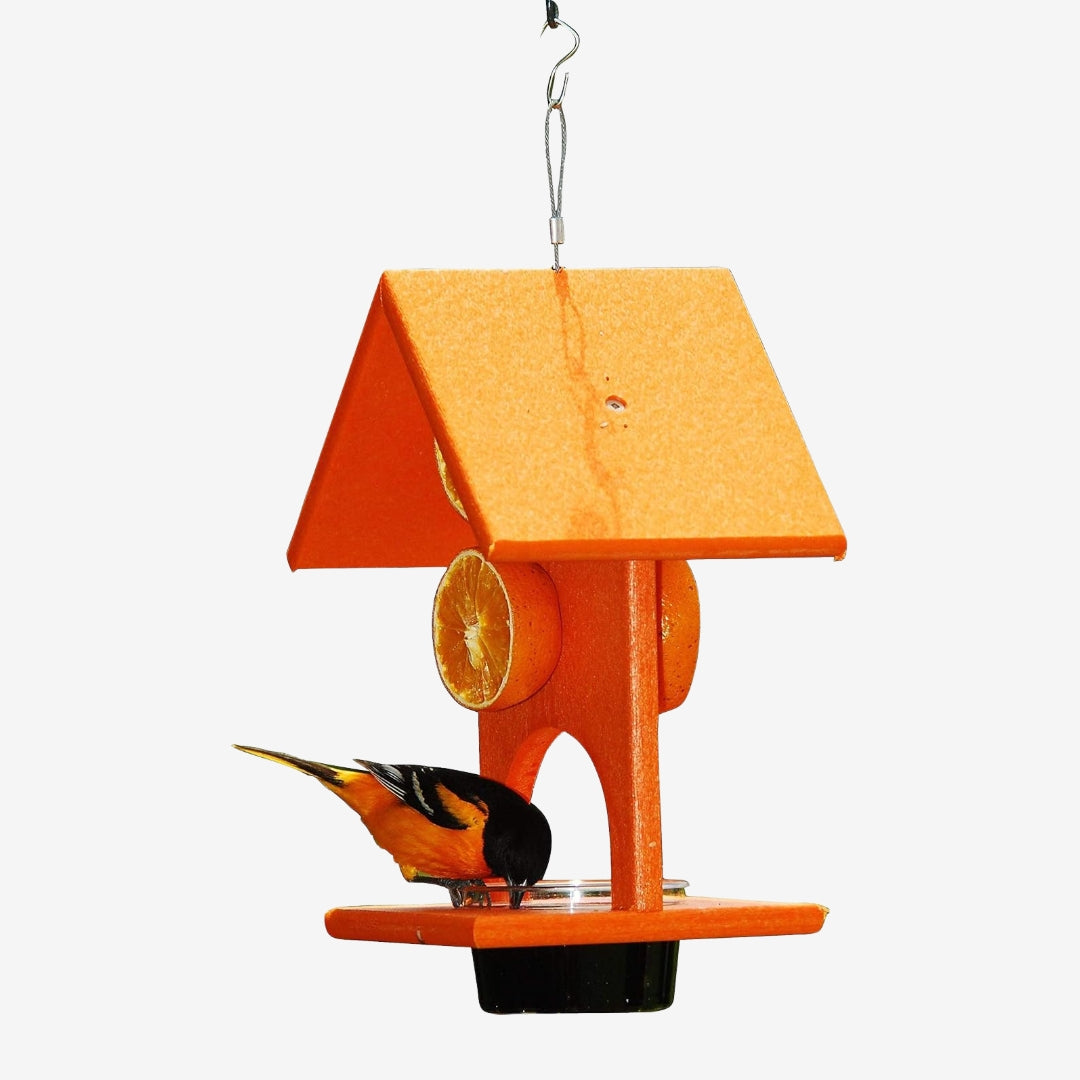 Songbird Essentials Jelly & Fruit Feeder made from recycled plastic, ideal for attracting songbirds